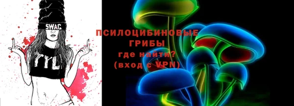 гашик Нязепетровск