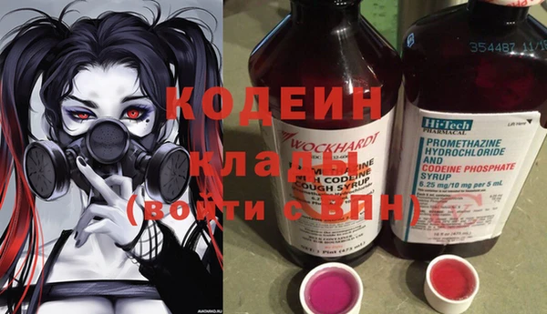 сатива Нягань