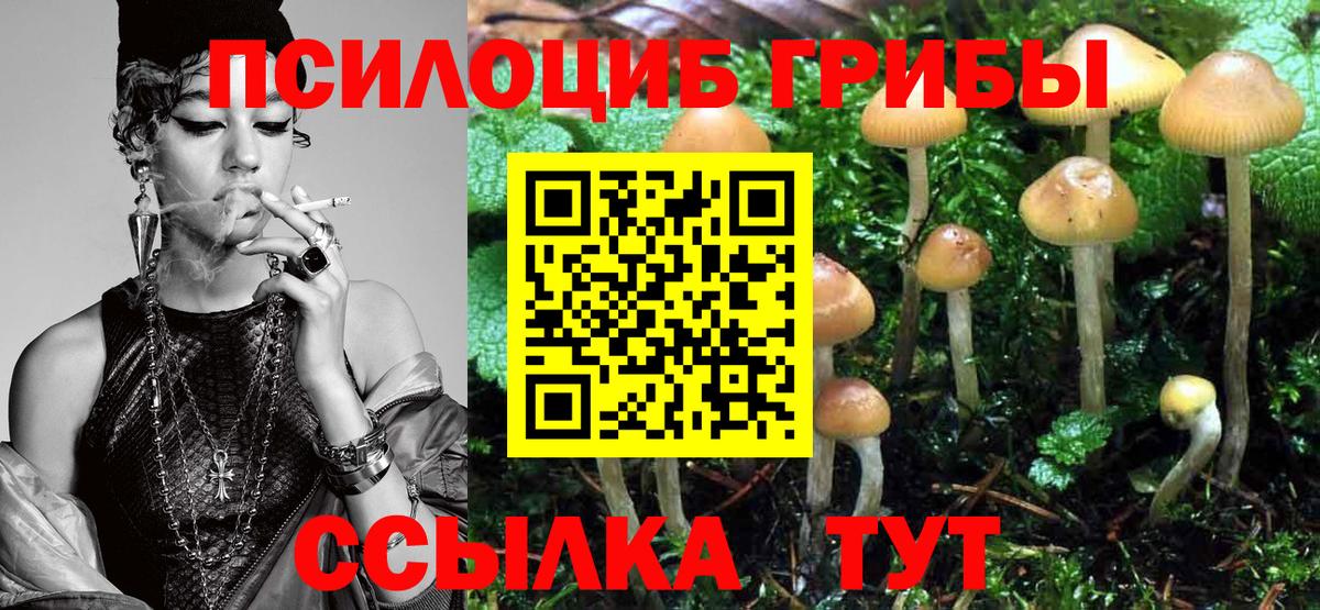 цены наркотик  Галлюциногенные грибы Psilocybine cubensis  Заволжье  Галлюциногенные грибы Psilocybe 