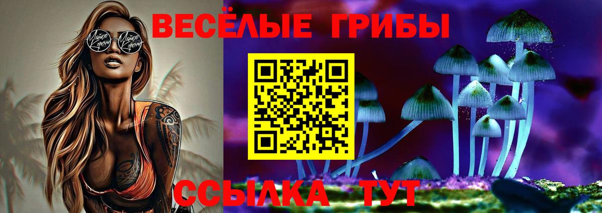 Галлюциногенные грибы мицелий Заволжье