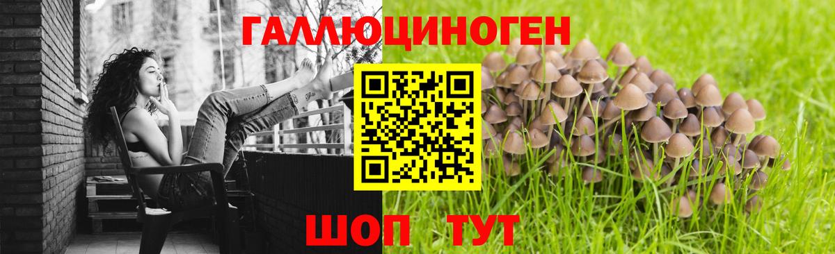 Псилоцибиновые грибы GOLDEN TEACHER  Галлюциногенные грибы прущие грибы  Заволжье  сколько стоит  Вход с VPN 